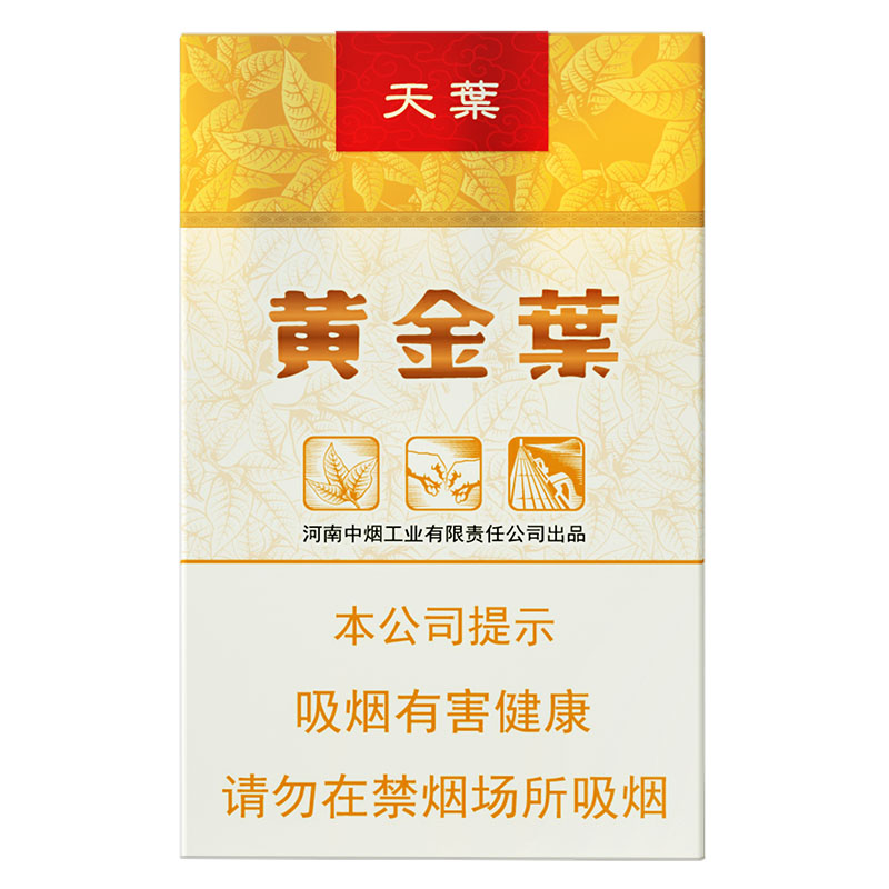 黄金叶(软天叶)